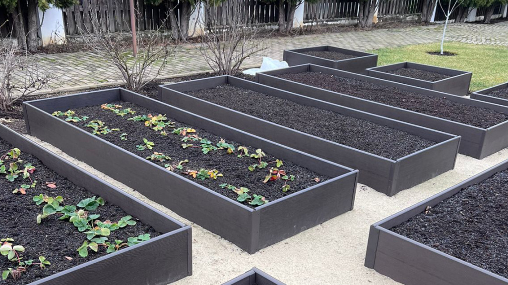 спб статья-2.jpg
